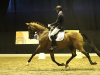 Expression 201113_2220